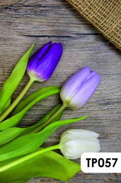 Tło fotograficzne produktowe Wiosna Tulipany