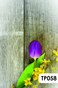Tło fotograficzne produktowe Wiosna Tulipany